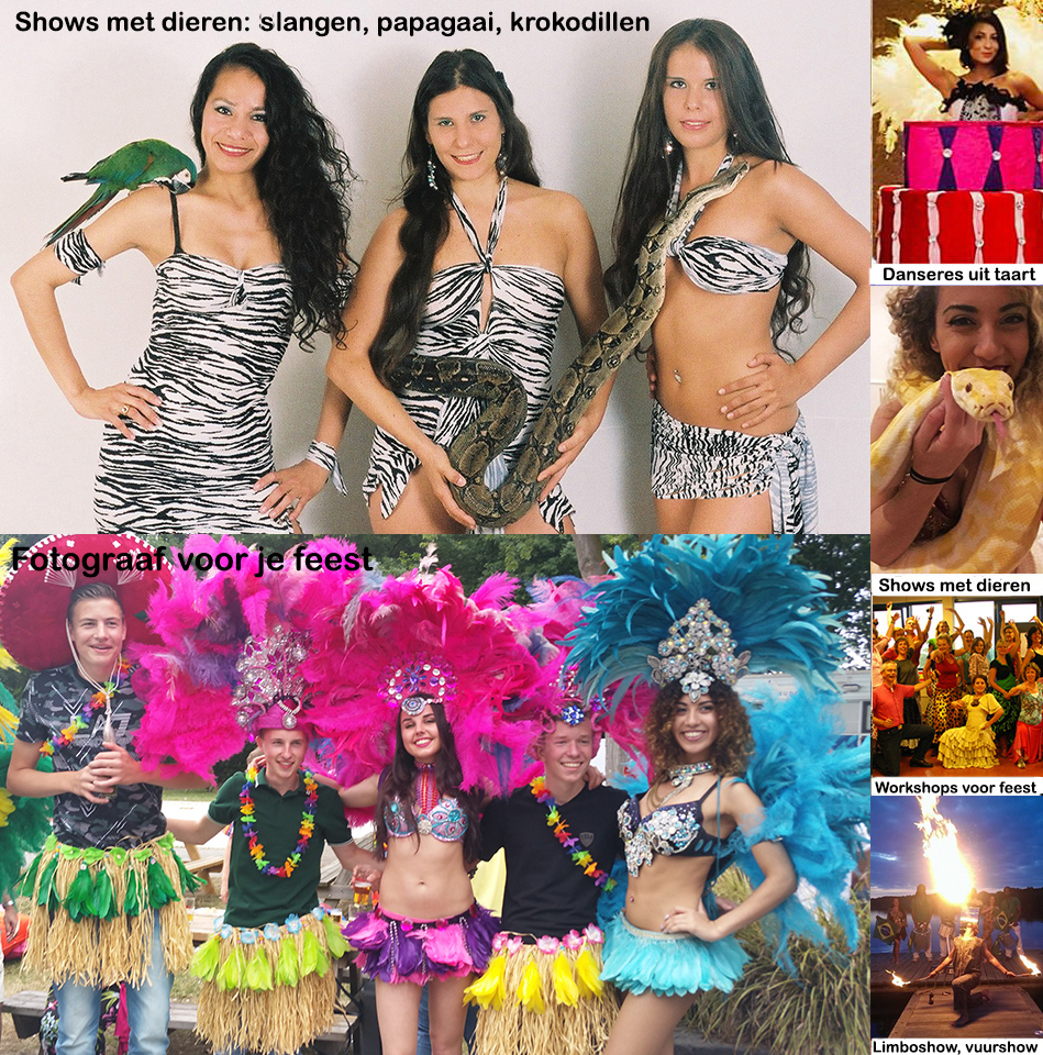 Testimonials Samba danseressen